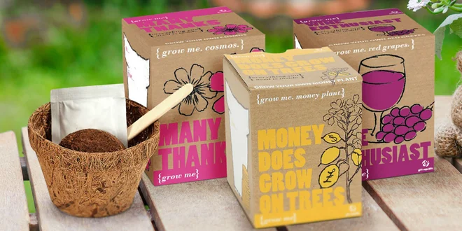 Grow it set na pestovanie papričiek, čaju alebo bazalky