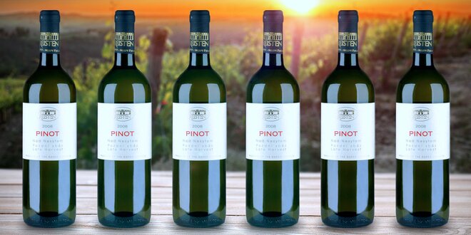 Sada 6 vynikajících bílých vín z Moravy