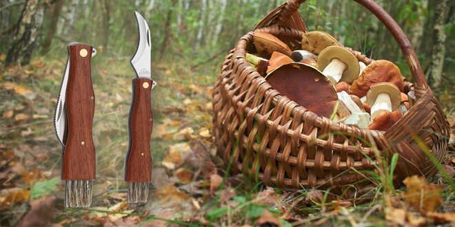 Nůž pro houbaře s dřevěnou rukojetí a kartáčkem