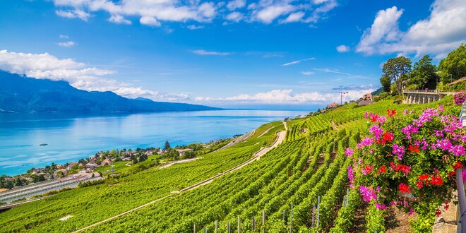 Švýcarsko: Ženeva a slavné vinice v Lavaux