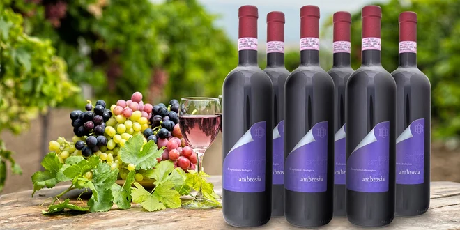 Italské mámení: Červené vínečko Barbera 2009