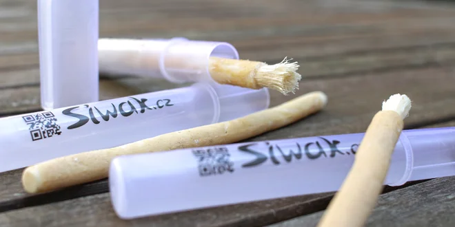 Přírodní kartáčky Siwak pro zuby jako perličky