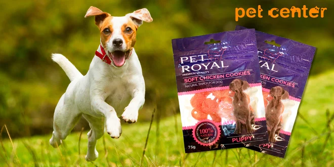 Dvě balení kuřecích sušenek Pet Royal pro psy