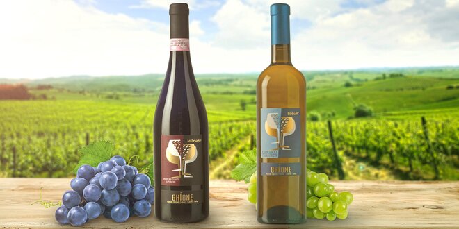Znamenitá italská vína