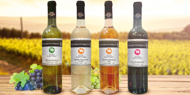 Svatomartinská vína: 6 lahví z rodinného vinařství