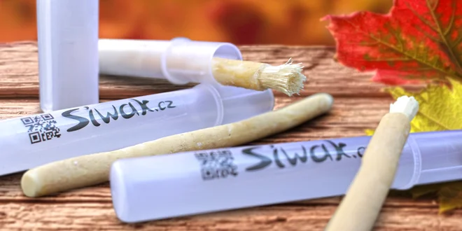 Zoubky jako perličky: Přírodní kartáčky Siwak