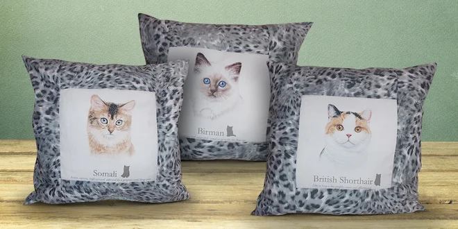 Bavlněné polštářky Beautiful Cats