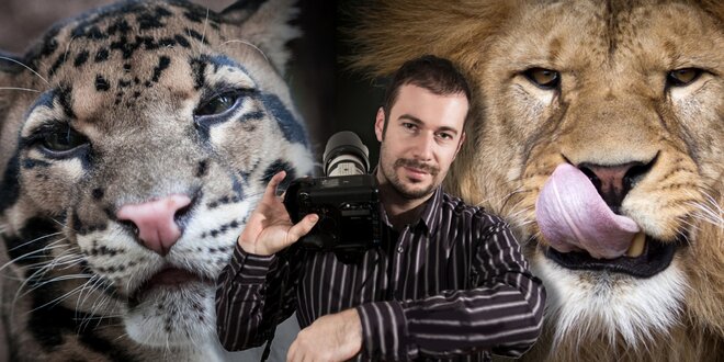 Fotografujte zvířata jako profesionálové