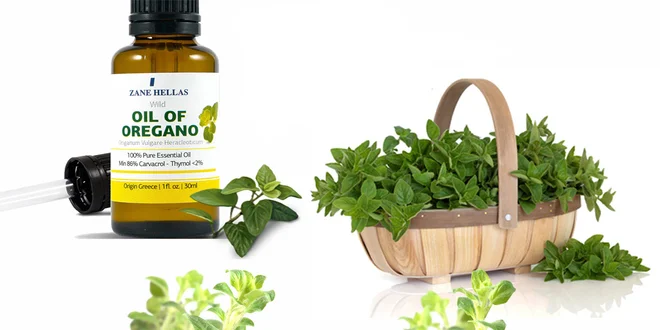 BIO Řecký Oreganový olej, 86% Carvacrol (30 ml)