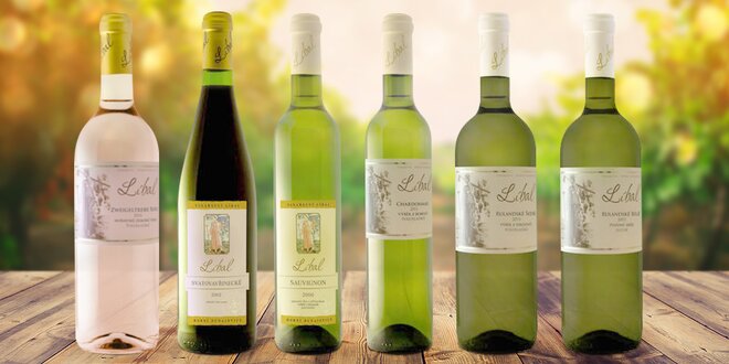 6 znamenitých vín z vinařství Líbal
