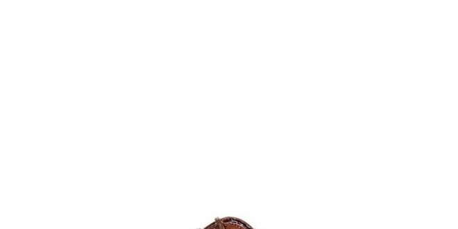 Dámské  karamelovo-béžové oxfordky Maria Mare