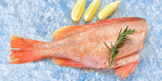Mořský okouník: 2 kg na moři zmrazených ryb
