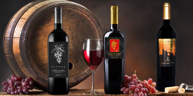 Neodolatelná kvalitní vína ze srdce Španělska