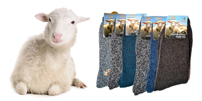 Termo ponožky z ovčej vlny! Pre dámy i pánov