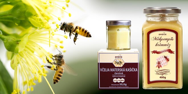 Včelí mateří kašička a med: přírodní posila organismu