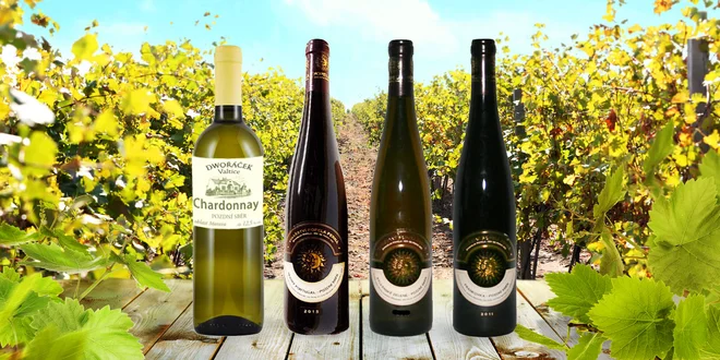 3× pozdní sběr z Moravy: červené i bílé víno