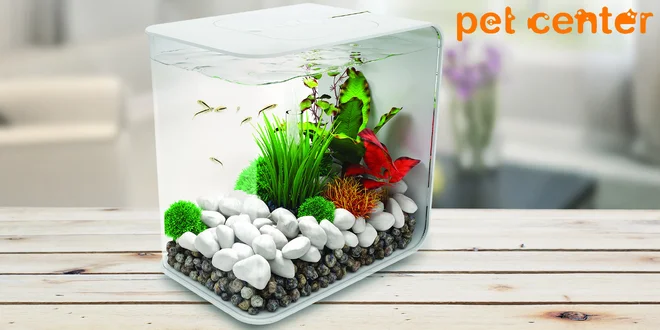 Kompletně vybavené akvárium s objemem 15 litrů