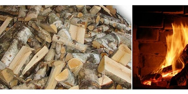 Kvalitní palivové dřevo – bříza