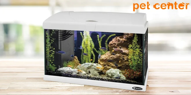 Skleněné 40l akvárium s příslušenstvím