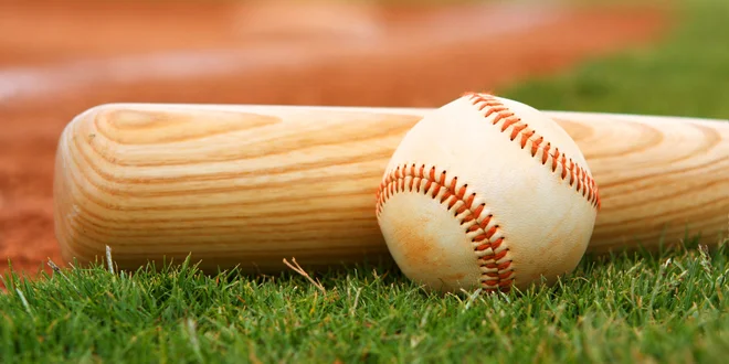 Baseballová pálka dřevěná a míček pro začátečníky