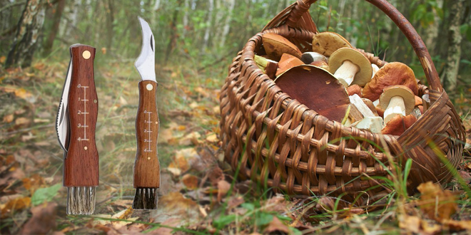 Nůž pro houbaře s dřevěnou rukojetí a kartáčkem