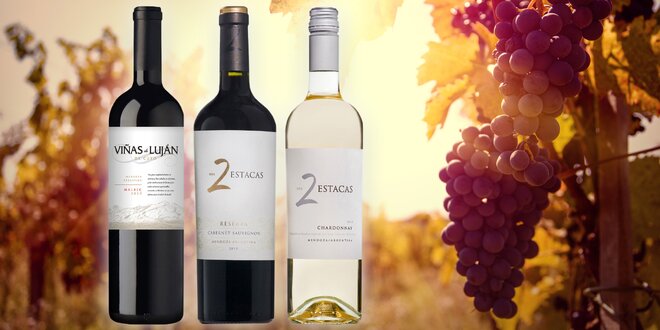 Viñas Argentina - výborná vína z Jižní Ameriky