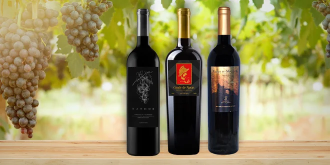 Neodolatelná kvalitní vína ze srdce Španělska