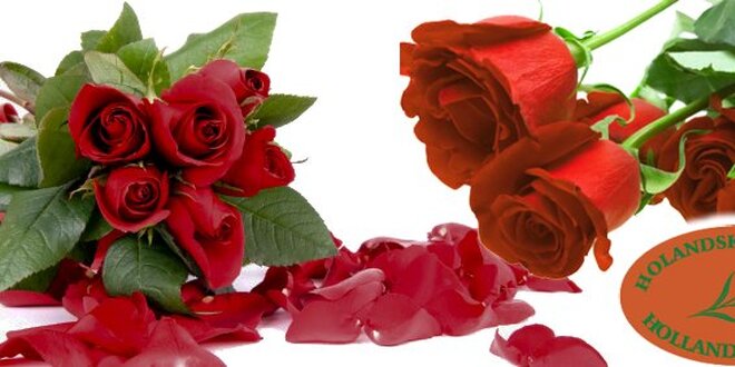 199 Kč za 5 prvotřídních červených růží v kytici o délce minimálně 80 cm!