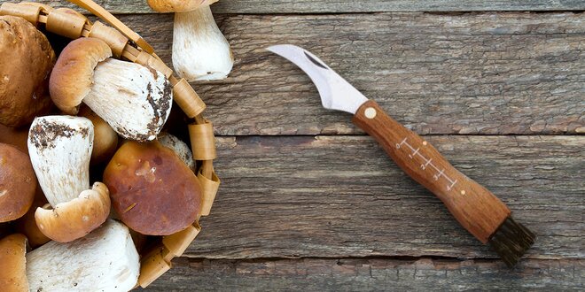 Zavírací houbařský nožík s kartáčkem