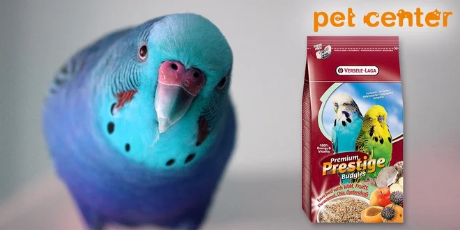 Kompletné krmivo Prestige Premium pre andulky 1 kg