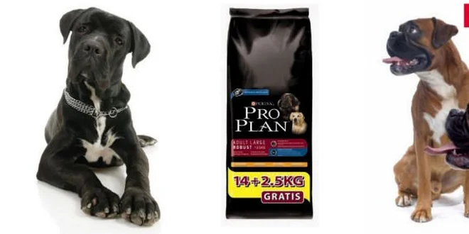 20 Kč za kupón v hodnotě 200 Kč na granule Purina PRO PLAN pro velké psy!