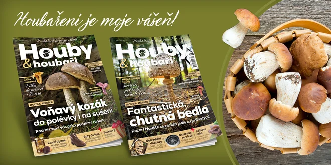 Nový časopis Houby & houbaři - ročník 2017