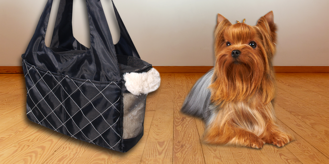 Cestovní taška pro psí mazlíčky