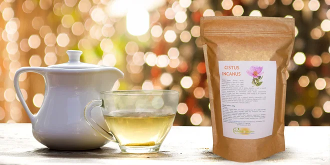 Dočista přírodní očista: Bylinný čaj Cistus Incanus