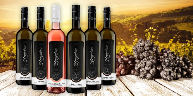 6 moravských vín z rodinného vinařství Strapina v Pavlově