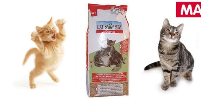 Prvotřídní kočkolit Cats Best ÖkoPlus se slevou 100 Kč!