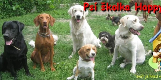175 Kč za celodenní hlídání pejska v Psí školce Happy Dog!