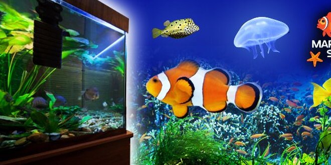 9990 Kč za plně vybavené luxusní mořské akvárium!