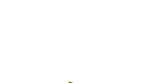 Dámské zlaté sandály Lise Lindvig s hnědou stélkou