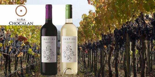 199 Kč za DVĚ kvalitní vína z Chile. Červené a bílé!