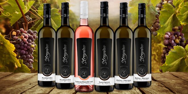 6 moravských vín z rodinného vinařství Strapina