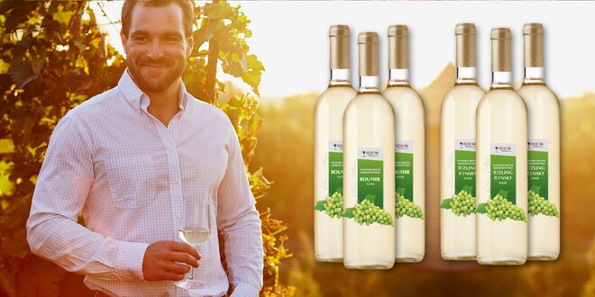 Exkluzivní kolekce 6 bílých vín ze Slovenska