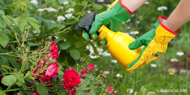 Geohumus a Rostlinobudič pro dobrý start sezóny