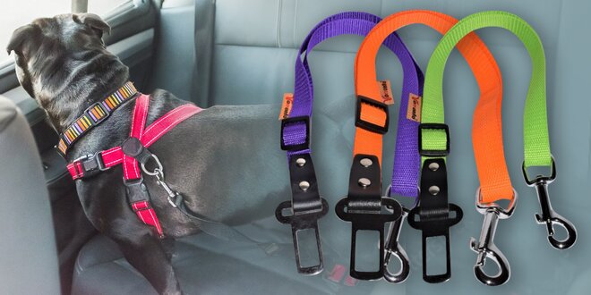 Zádržný pás do auta pro psy: výběr ze 6 barev