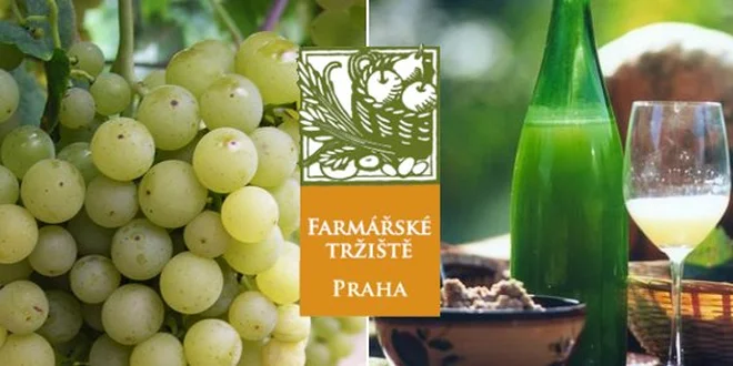 65 Kč za 2 litry bílého burčáku z moravského vinařství Chateau Lednice