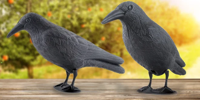 Maketa havrana na odpuzování holubů