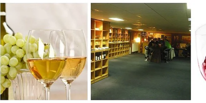 Unikátní řízená degustace moravských vín