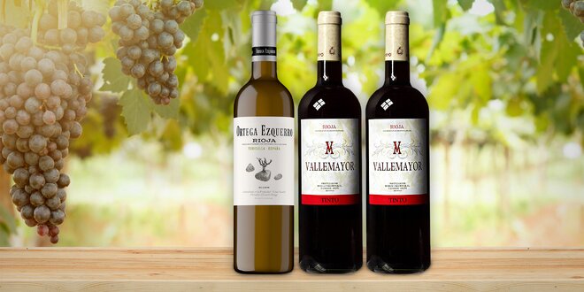 3 španělská vína z nejlepší oblasti Rioja