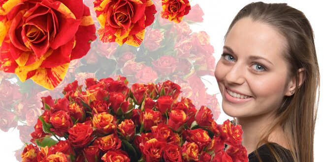 Prémiové trsové růže Fire Flash s více jak 5 květy