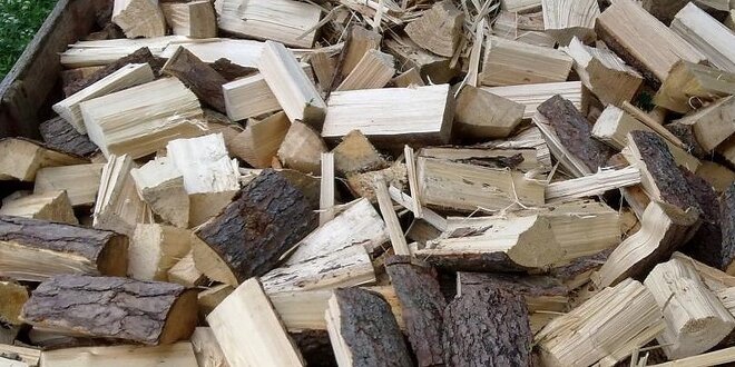 Nejlevnější palivové dřevo - smrk nebo borovice